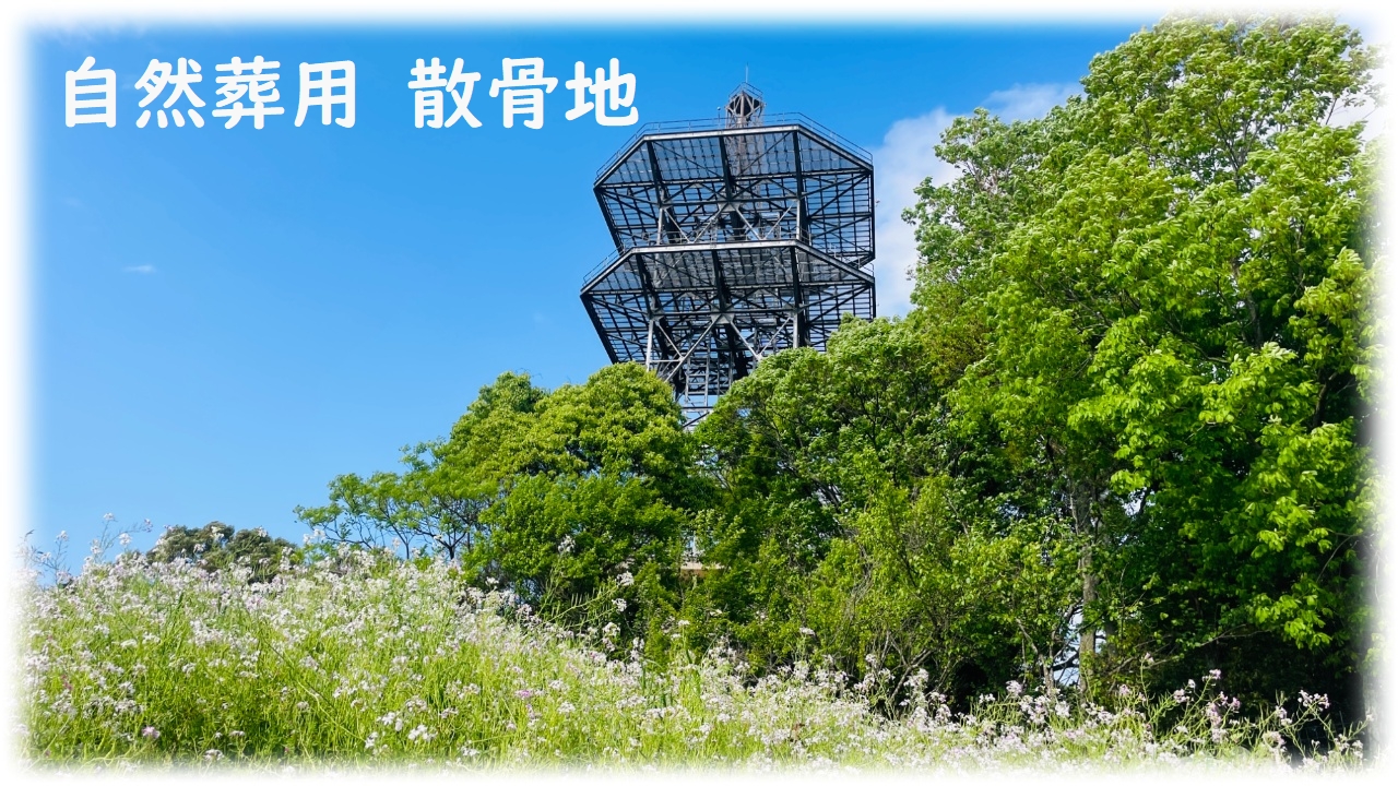 ペット霊園イメージ