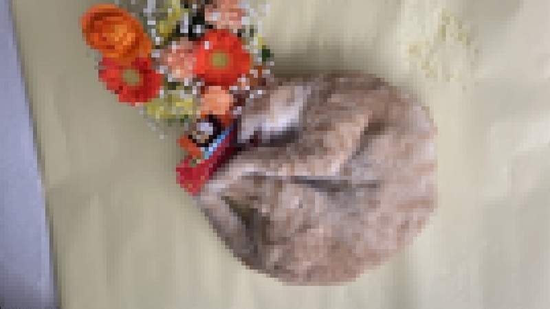 外猫のお弔い写真1